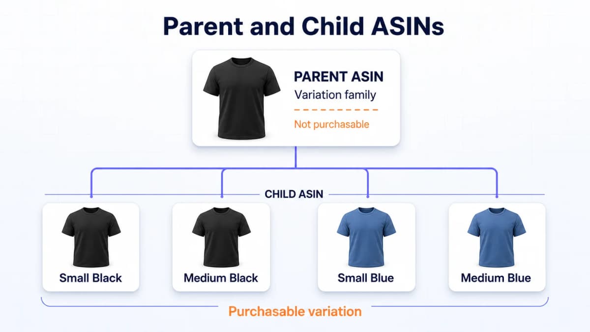 Parent ASIN connected to purchasable child ASINs for color and size variations