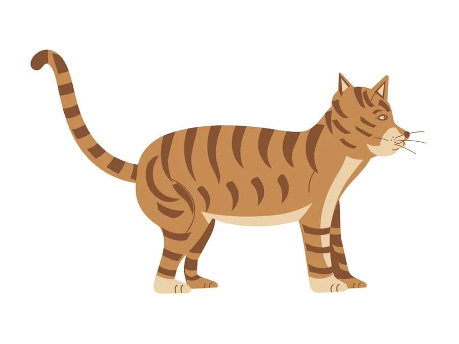 Community cat drawing labeled GPT-6 Astra, showing a rounder orange striped cat in profile